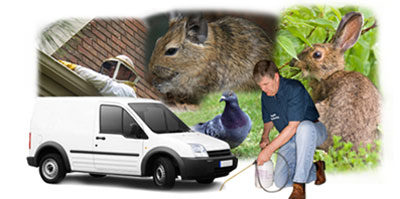 North Shields local van